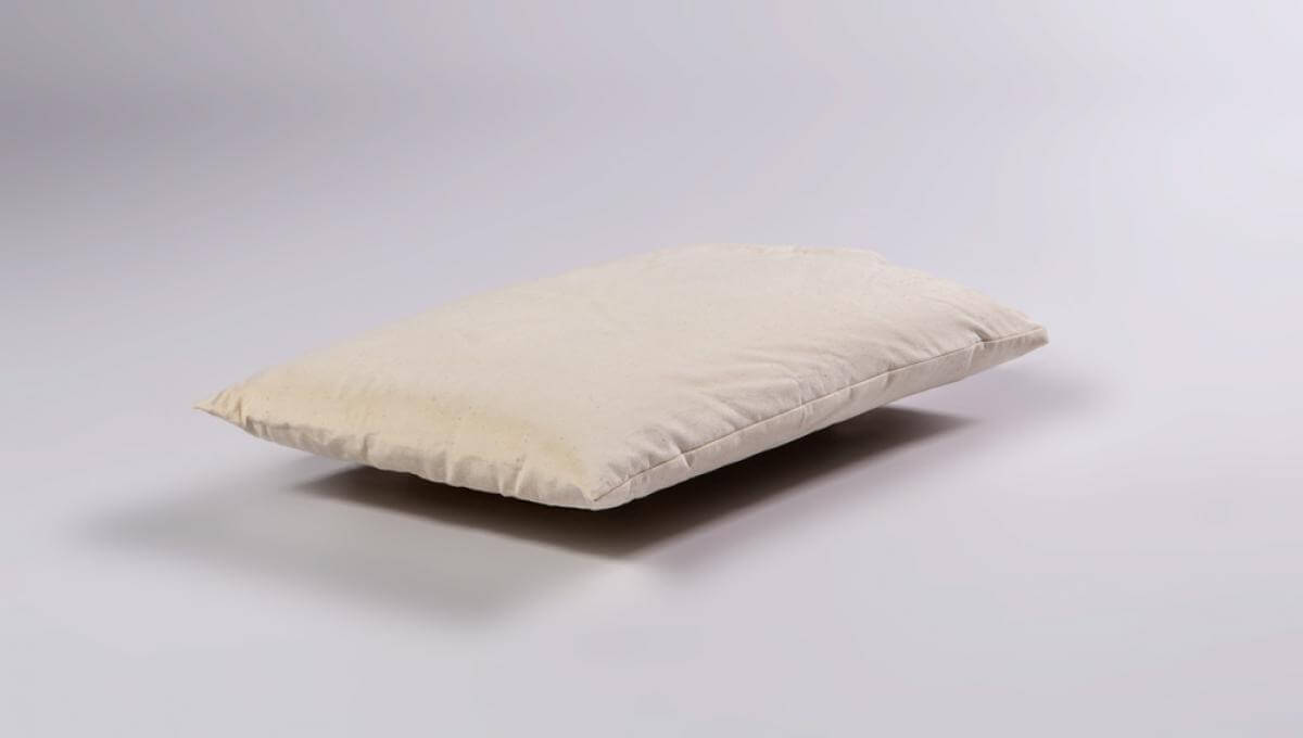 Large Organic Buckwheat Husk Pillow Natural Beds